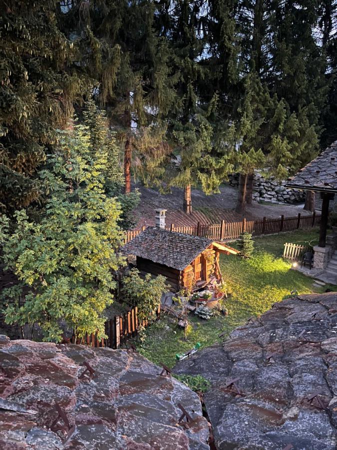 Chalet Blanc "Coeur Sapin" Courmayeur Buitenkant foto