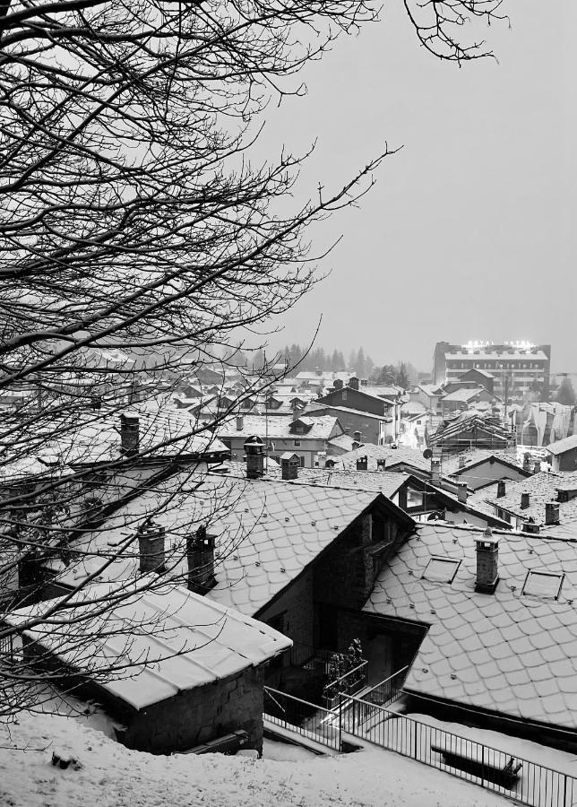 Chalet Blanc "Coeur Sapin" Courmayeur Buitenkant foto